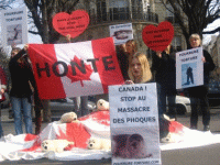 manif.gif