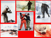 carte.gif